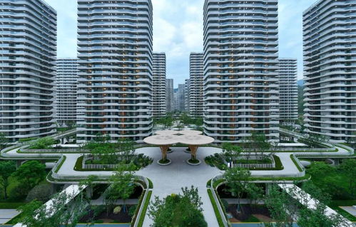 大家房產(chǎn) 穩(wěn)健發(fā)展穿越行業(yè)波動(dòng),產(chǎn)品向新助力韌性前行