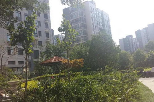 東方鼎盛時代三期優點 不足,東方鼎盛時代三期怎么樣,東方鼎盛時代三期周邊房產中介經紀人評價 鄭州安居客