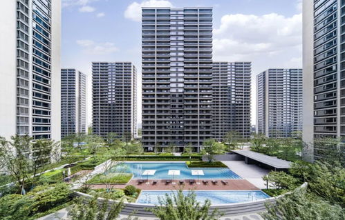 大家房產 穩健發展穿越行業波動，產品向新助力韌性前行